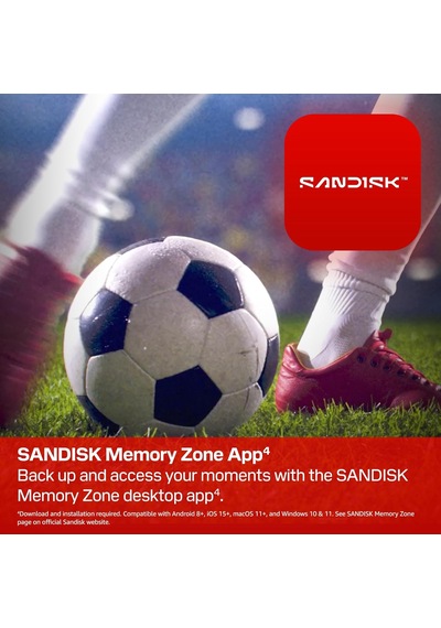 Fıfa World Cup 2026 Edition 1tb 800mb/s Taşınabilir Ssd Sdssde30f-1t00-g25
