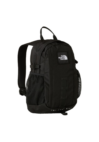 Standart The North Face Hot Shot Mını Unisex Çanta Nf0a8gjjjk31 Siyah