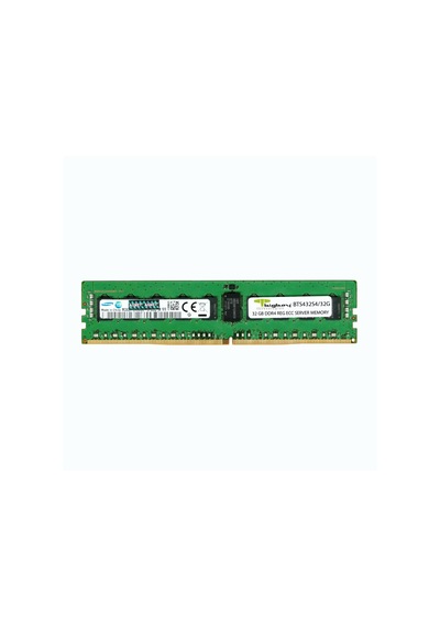 Bigboy BTS432S4/32G 32 GB DDR4 3200 MHz CL22 Server Bellek