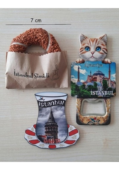 İstanbul'un Simgeleri Magnet Üçlü Seti
