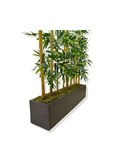 Cihan Çiçekçilik Bambu Seperatör 200 Cm 9 Adet Bambu 100 Cm Antrasit Saksı Beyaz- Yeşil