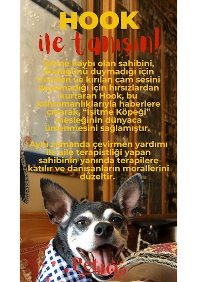 Petjoo 7.Hook Kırmızı-Sarı Qr'lı Köpek Künyesi