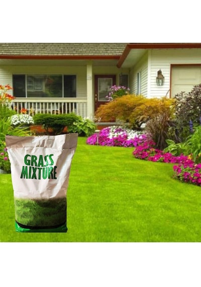 GRass Mixture Galaxy 6 Karışımlı İthal Çim Tohumu 5 KG