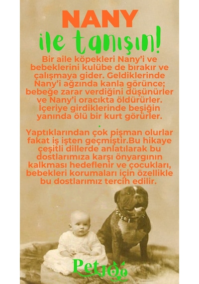 Petjoo 17.Nany Yeşil-Turuncu Qr'lı Köpek Künyesi