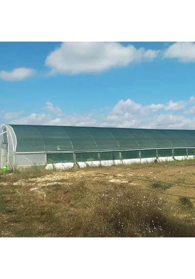 Yeşil Çit Filesi, %75 Görüntü Kesme, 1x7 M Boyut