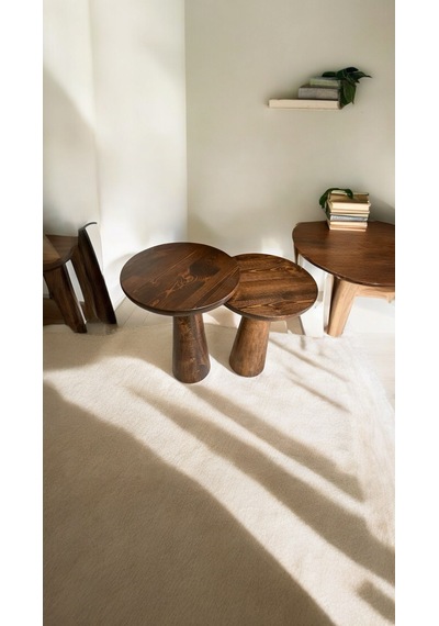 Wood Ahşap 2'li Set Konik Mantar Yan Sehpa / Ceviz Renk