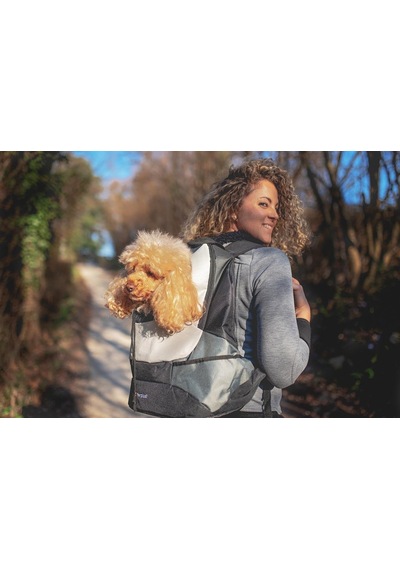 Ferplast Kangoo Large Küçük Köpek Taşıma Çantası, Dolgulu Omuzlar, Sağlam Ve Dayanıklı Malzeme, Gri