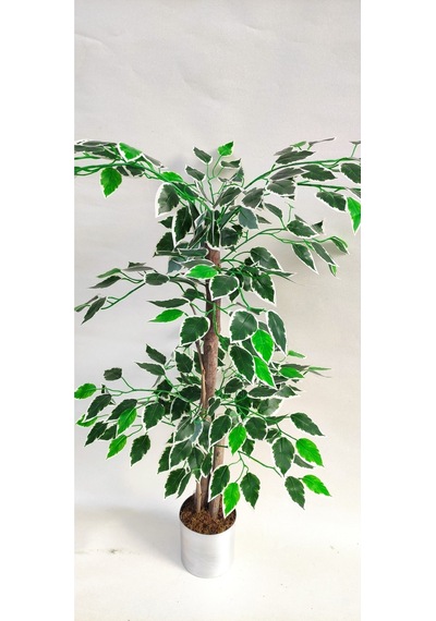 Rüzgar Yapay Çiçekçilik 90 Cm Ficus Ağacı Yeşil