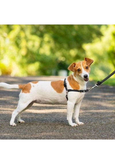 Tr Premier Easy Walk Köpek Koşum Takımı, Siyah/gri, Boyut L Genel