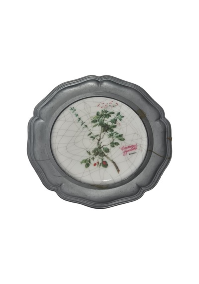Vintage Zınn Çerçeveli Dekoratif Alıç Bitkisi Temalı Duvar Tabağı 10cm 013