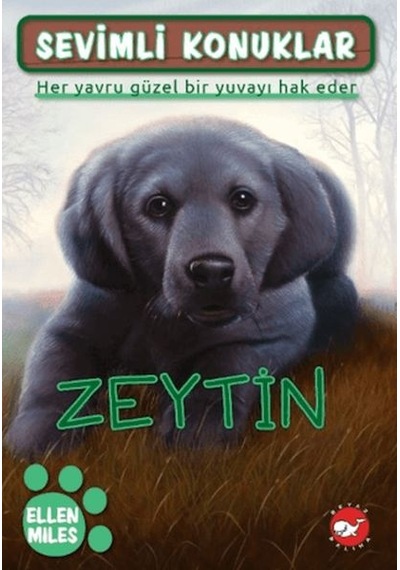 Sevimli Konuklar 3 - Zeytin - Sptl-763826