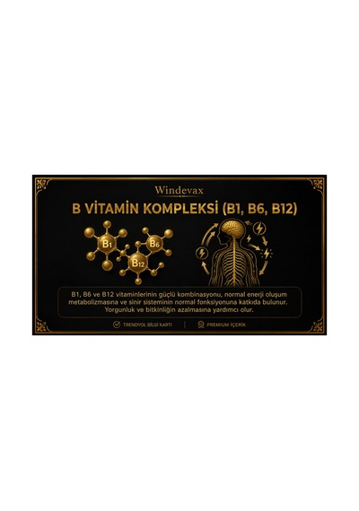 Windevax Sitikolin Ginkgo B1 Vitamini B6 Vitamini B12 Vitamini İçeren Takviye Edici Gıda 60 Kapsül