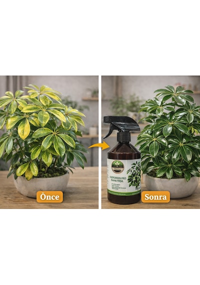 Evergreen Pro Yeşil Bitkiler İçin Organomineral Besin Çözeltisi 500 ML