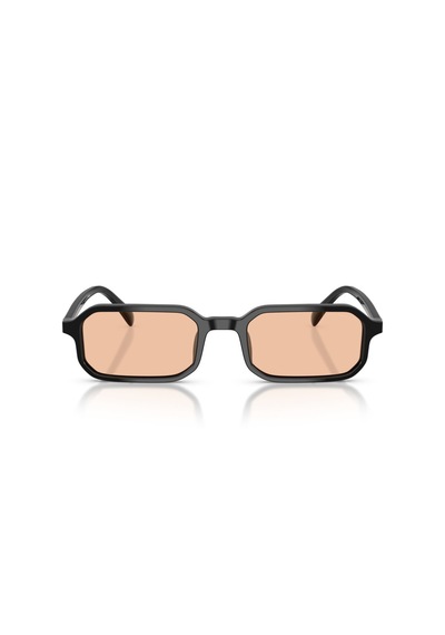 Emporio Armani Ea 4253u 5017/93 Unisex Güneş Gözlüğü