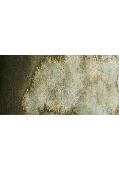 Horadam Aquarell Supergranulation Forest Grey 15 Ml