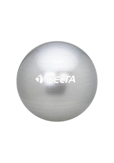 Delta 55 cm Dura-Strong Deluxe Silver Pilates Topu