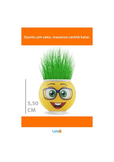 Eğlenceli Emoji Figürlü Çim Adam Saksı 5,5 Cm 1 Adet