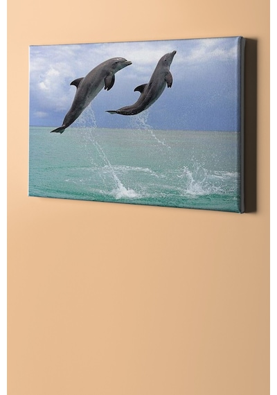 Webstyle Sayılarla Boyama Seti Kasnaklı Yunusların Selamı 60 X 75 Cm