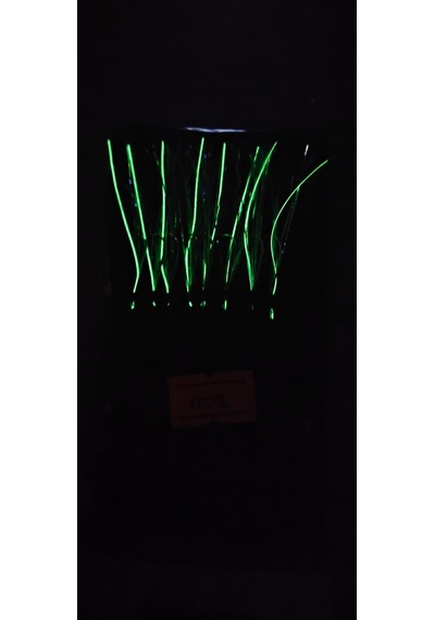 Çapari Alemi Üst Kalite Glow Simler İle Uv Yeşil Kombin