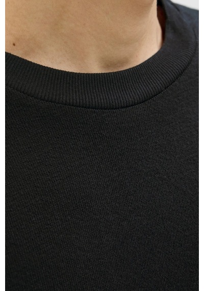 Jack & Jones Erkek Siyah Jjloui Osmos Tee Crew Neck T-shirt 12270710-black Black