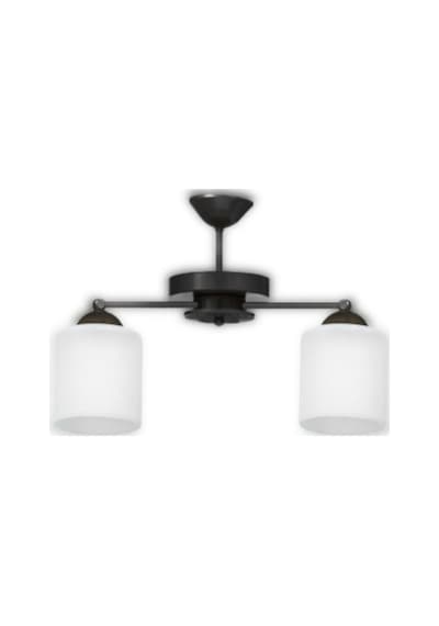 Siyah 2'li Modern Plofonyer Model Avize