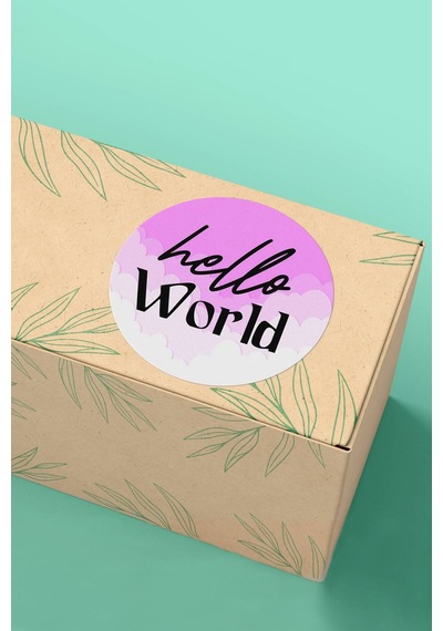 Pembe Hello World Kargo Paketleme Sticker 3x3cm St2138 Çok Renkli