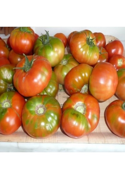 Farmlife Mis Kokulu Yayla Domatesi Tohumu