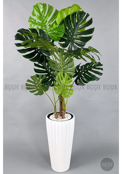 Yapay Monstera Ağacı Deve Tabani 200 Cm Beyaz Li Lyum Saksıda