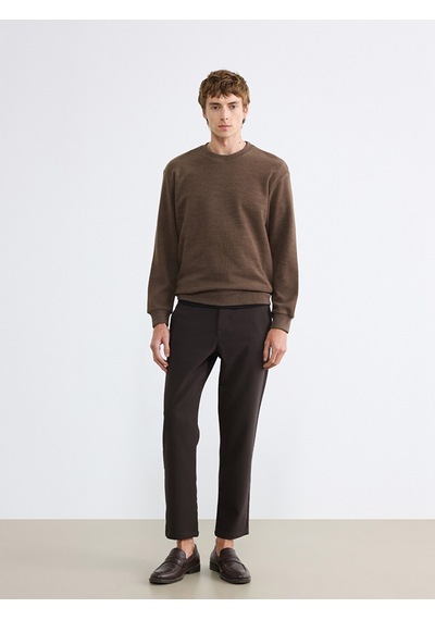 Lcw Vision Kahverengi Regular Fit Bisiklet Yaka Erkek Triko Sweatshirt