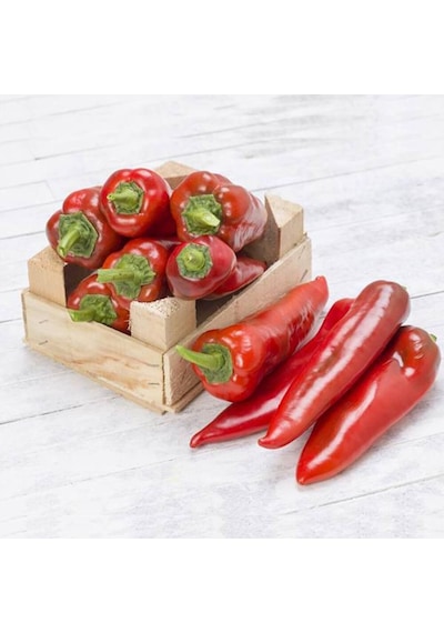 Yağlık Burkap Tombul Kapya Biber Tohumu 20 Tohum 1 Paket
