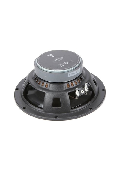 ÖZENHİFİ'den Focal Auditor Evo ASE 165
