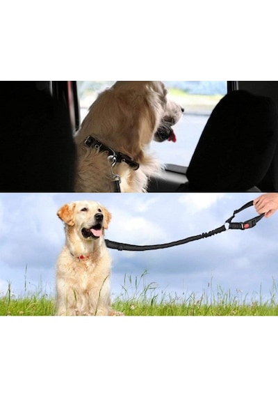 Köpek Araç Araba Emniyet Kemeri Oto Evcil Hayvan Seyahat Tasma
