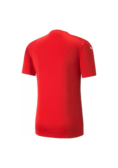 Puma Teamglory Jersey Erkek Futbol Forması 70501701 Kırmızı 001