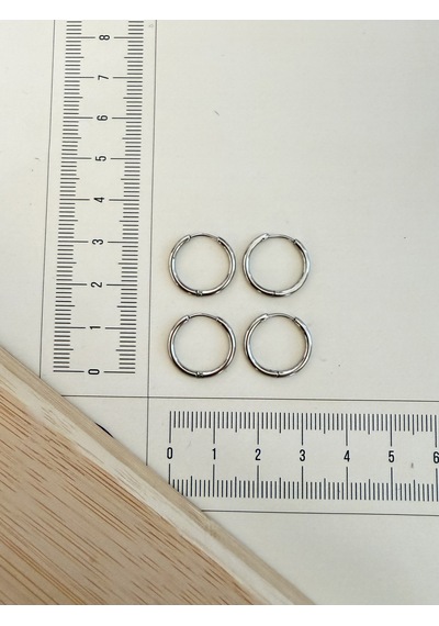 316 L Cerrahi Çelik 1,6mm 12mm Çelik Halka Küpe Gümüş 4 Adet