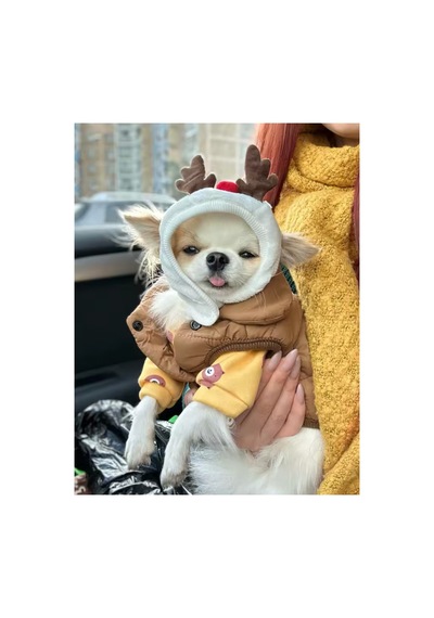 Geyikli Kışlık Köpek Şapkası - Köpek Beresi Küçük Ve Orta Irk Köpekler