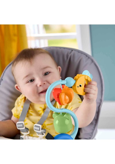 Fisher-Price Mama Sandalyesi Oyuncağı Jhb46
