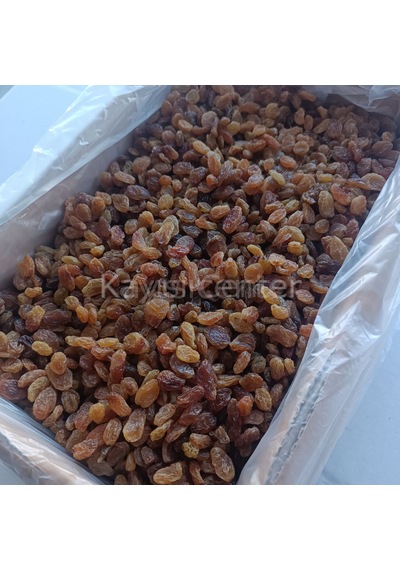 Toptan İzmir Çekirdeksiz Üzüm 10 Kg 10 KG