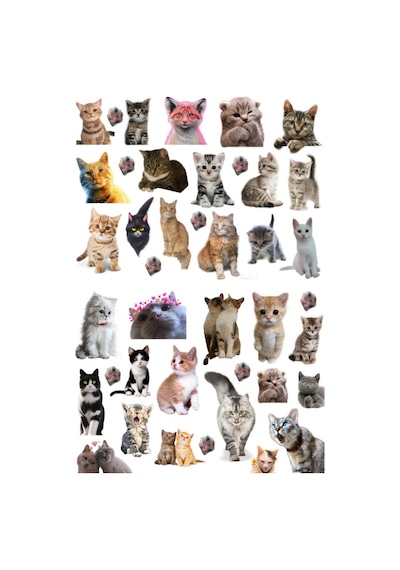 41'li Kedi, Kitty, Fairycore, Sevimli Hayvanlar Sticker Seti - Etiket Seti Scrapbook Bullet Journal Çok Renkli