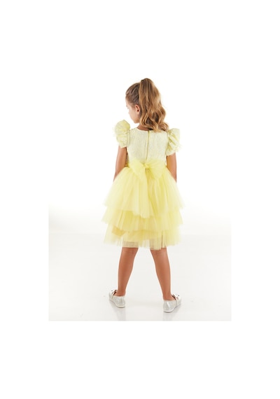 Denokids Otriş Detaylı Tütü Kabarık Kız Çocuk Abiye Elbise