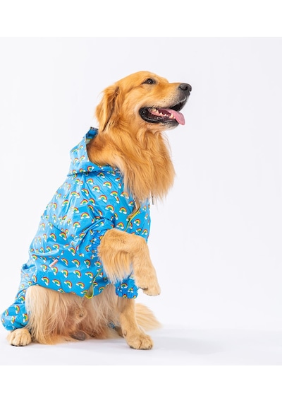 Pawstar İrides Fileli Orta ve Büyük Irk Köpek Tulum Yağmurluğu