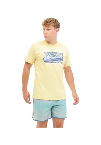 Quiksilver Retro Fade Ss Sarı Erkek Kısa Kol T-shirt 000000000102233761 Sarı