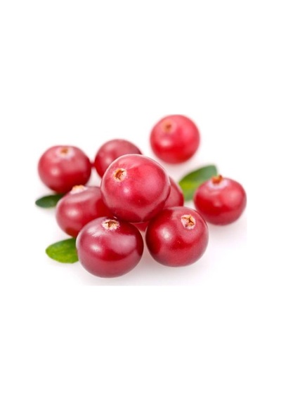 Cranberry Tohumu Yaban Mersini Turna Yemişi Tohumu 5 Tohum+