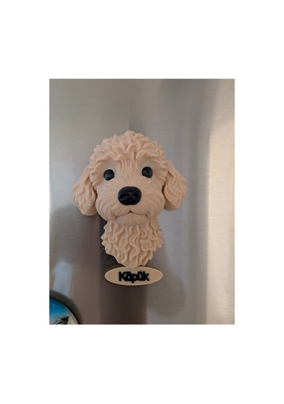 Kişiye Özel Toy Poodle Köpek Magneti Köpeğinizin İsmi Yazılı Dekoratif Buzdolabı Magneti Sevimli Köpek Figürü