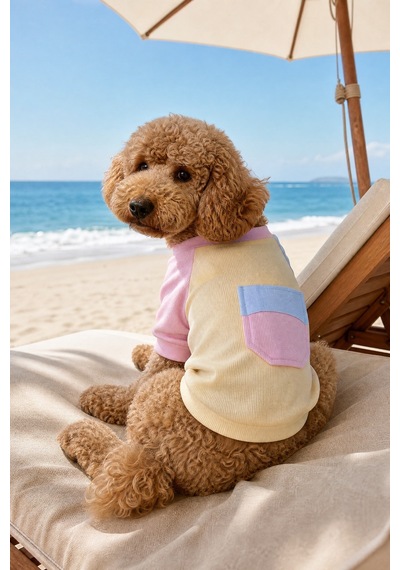 Soft Sun Köpek Tişörtü Cepli Şeker Renkli Yazlık Köpek Kıyafeti Küçük Irklar İçin