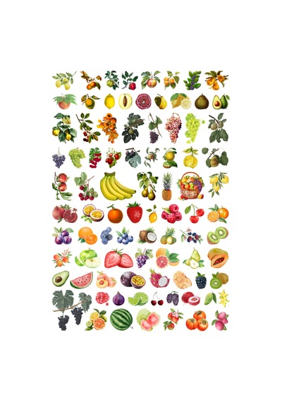 87 Adet Meyve Sticker Seti - Meyveler Etiket Seti Sketchbook Çok Renkli
