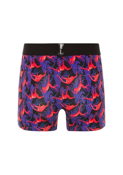 Farm Animals Red Monkey Desenli Boxer