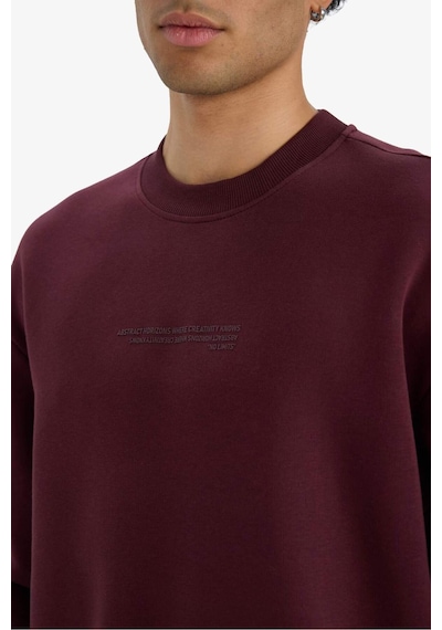 Defacto Boxy Fit Bisiklet Yaka İçi Yumuşak Tüylü Baskılı Sweatshirt X8282az25aubr230 Bordo-br230 Defacto Boxy Fit Bisiklet Yaka İçi Yumuşak Tüylü Baskılı Sweatshirt X8282az25aubr230 Bordo-br230