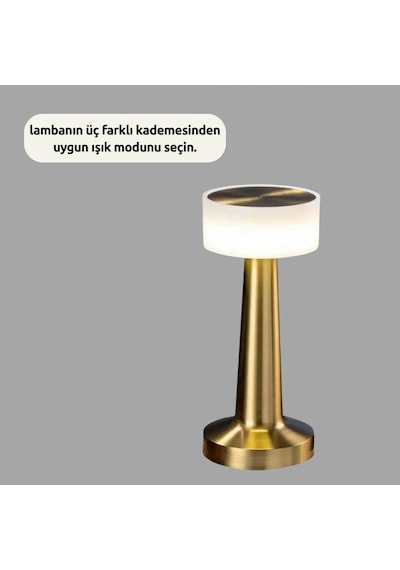 Dekoratif Masa Lambası Kopya Renkli