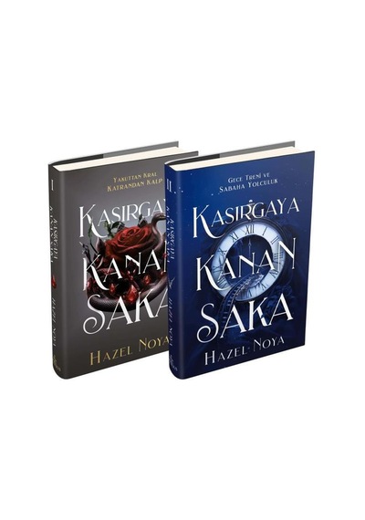 Kasırgaya Kanan Saka İkili Kutu - Ciltli