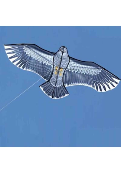 Kartal Uçurtma - 150 CM Kanat Genişliği Ip Dahil